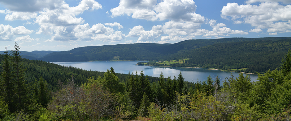 Schluchsee Bildstock