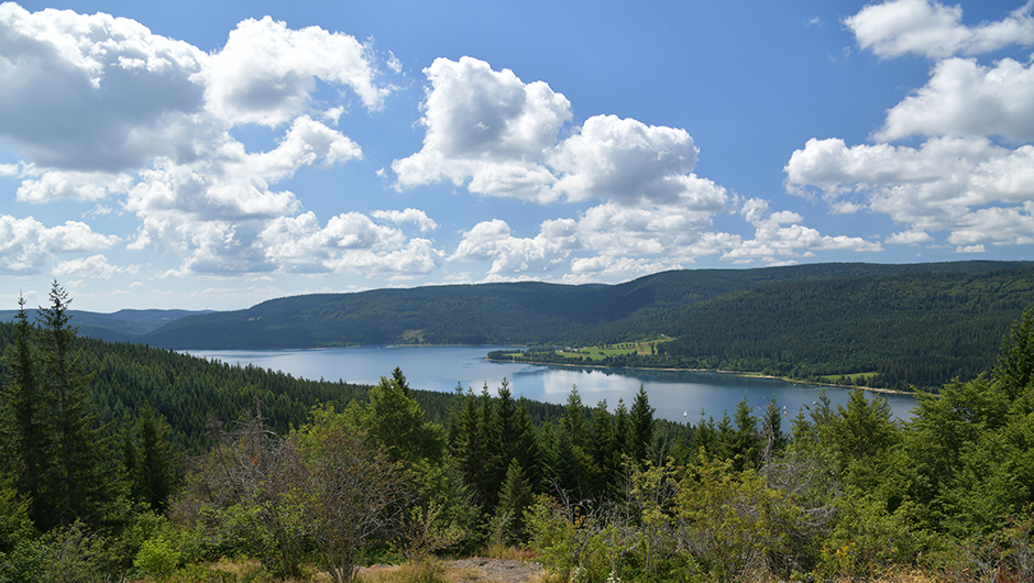 Schluchsee Bildstein